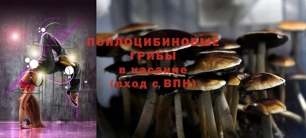 экстази Пестово