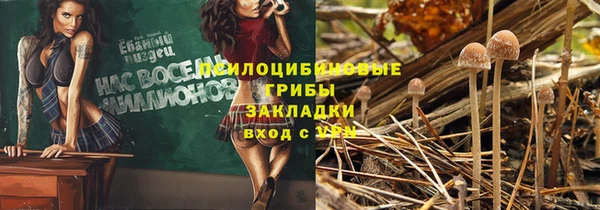 экстази Пестово